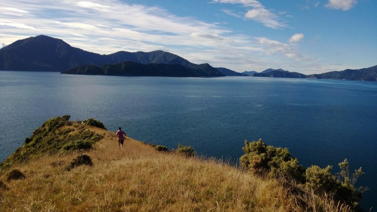 homewood bay lodge tripadvisor2